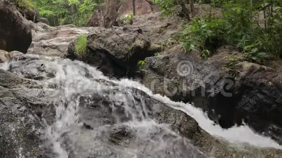 丛林的热带瀑布视频的预览图