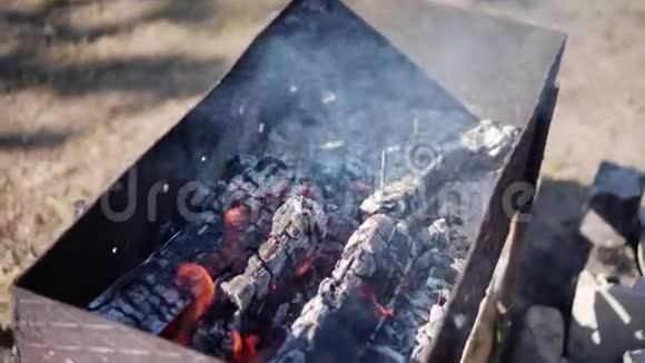 加热煤的烧烤从火中抽出来的烟快关门视频的预览图