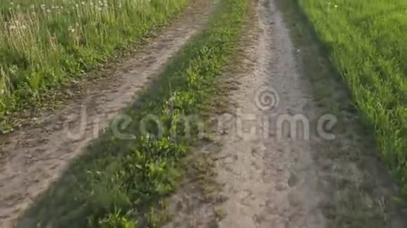 在夏天乡间的路沿着田野滚动视频的预览图