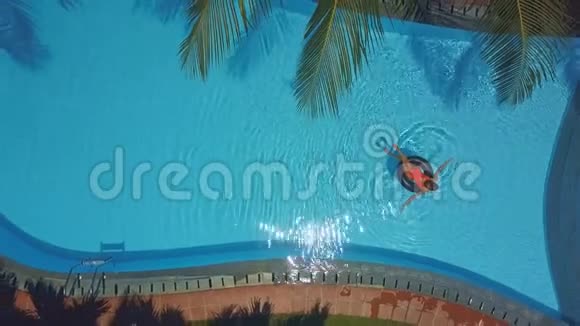 从棕榈树枝上俯瞰美丽的游泳池视频的预览图