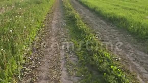在夏天乡间的路沿着田野滚动视频的预览图