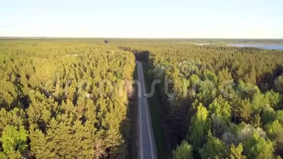 高速公路高速公路高速公路松林之间视频的预览图