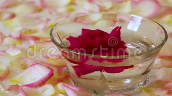 红玫瑰放在一碗水和花瓣里旋转罗莎视频的预览图