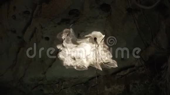 从塞诺特墙上的水中跳舞的亮点墨西哥尤卡坦半岛洞穴4K视频的预览图