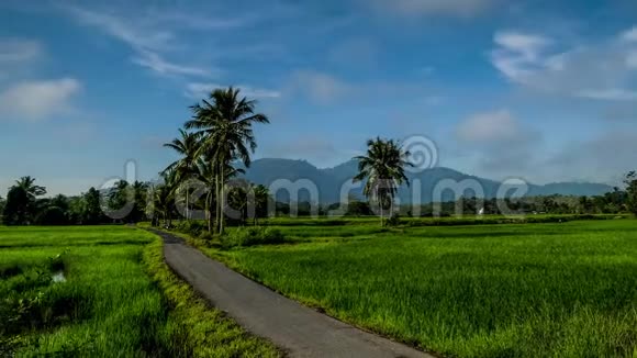马来西亚Kedah稻田美丽的变焦延时视频的预览图