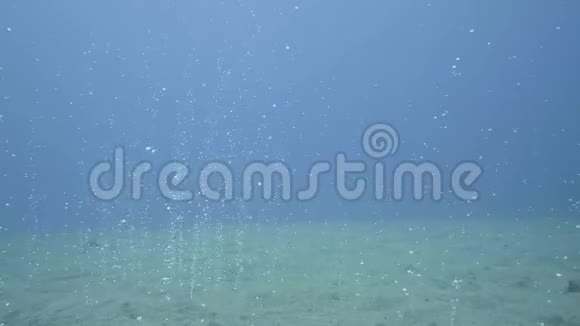 从沙海海底上升到水面的气泡游泳潜水视频的预览图