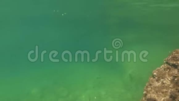 小鱼漂浮在水里亚得里亚海海底视频的预览图