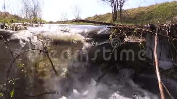 河水流经树枝和垃圾坝视频的预览图