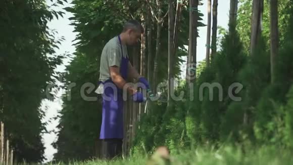 园丁正在修剪花园里的灌木丛视频的预览图
