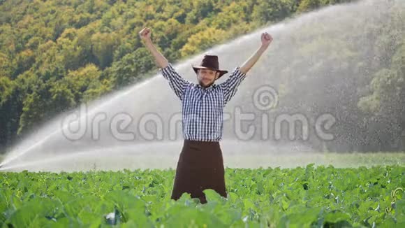 拉默站在种植园里举起双手快乐的农夫享受成功视频的预览图