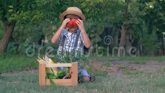 秋天的收获孩子在花园里放蔬菜的木盒附近玩西红柿视频的预览图