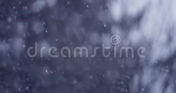 降雪背景下的冬季场景视频的预览图