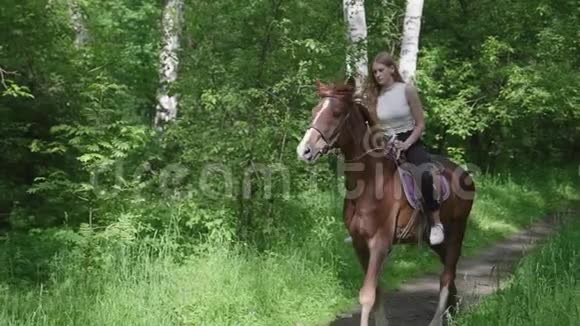 在公园里骑马骑马的女孩在公园散步视频的预览图