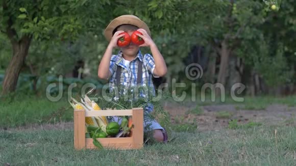在采摘期间孩子们在花园里放着蔬菜的木盒旁照相机玩西红柿视频的预览图