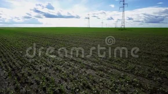 种植大豆和电力线路的广阔田野视频的预览图