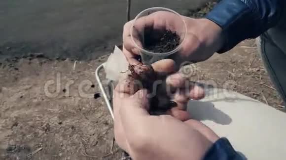 渔人用手从塑料玻璃蠕虫中取出蚯蚓在河中捕鱼视频的预览图