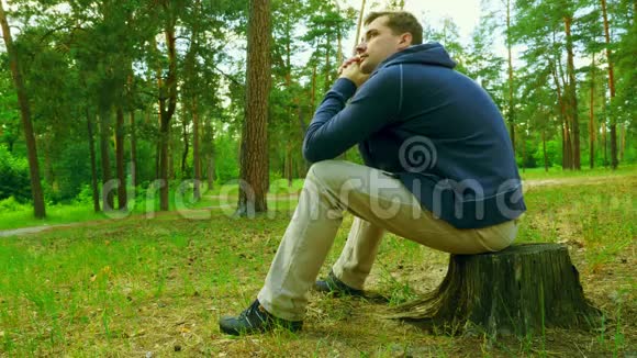人坐在夏木的树桩上森林里阳光明媚的一天视频的预览图