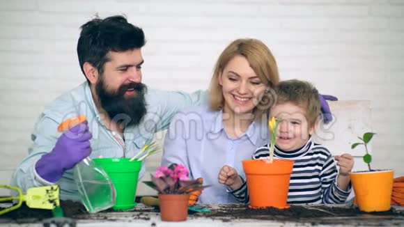 这家人在花盆里种花一起做家庭园艺在阳光明媚的日子里快乐的家庭园艺一家人把视频的预览图
