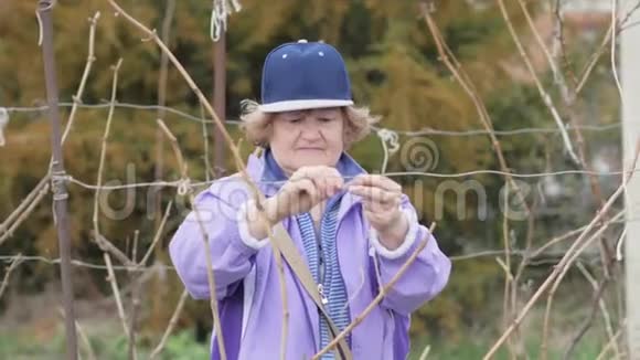 农村园圃中的老太太捆果树视频的预览图