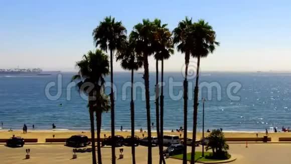 南加州以棕榈树在海上摇曳为特色的标志性镜头视频的预览图