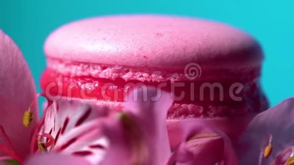 粉红色的马卡龙美味和美丽的法国甜点旋转在格伯拉花蓝色背景烹饪食品视频的预览图