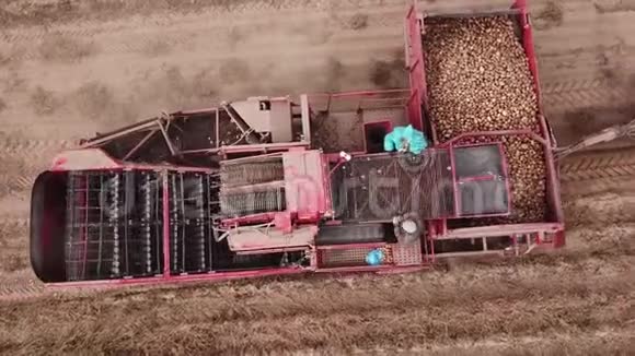 农民用机械收获土豆鸟瞰图视频的预览图
