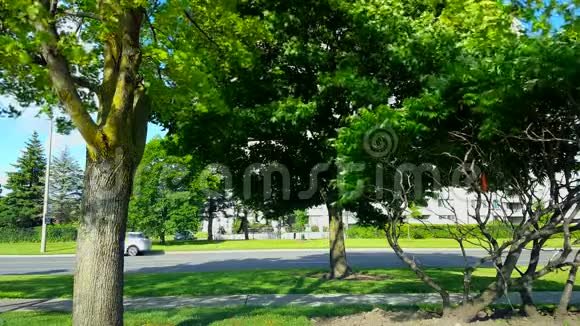绿树带动城市交通的侧视图夏季有车的城市景观视频的预览图