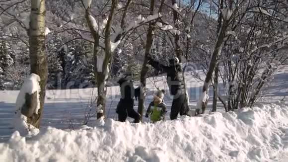 一个年轻的家庭走过白雪覆盖的山林他们站在树下把雪从树上摇下来他们视频的预览图