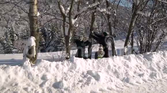 一个年轻的家庭走过白雪覆盖的山林他们站在树下把雪从树上摇下来他们视频的预览图