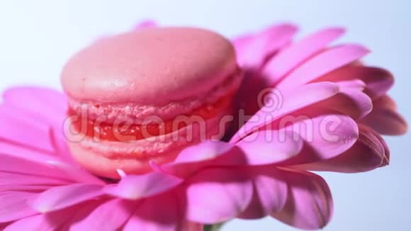 粉红色的马卡龙美味和美丽的法国甜点旋转在格伯拉花蓝色背景烹饪食品视频的预览图