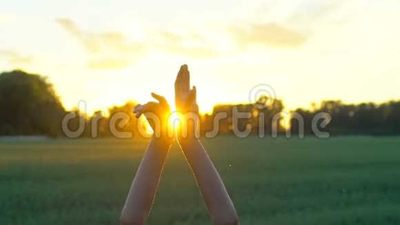 日出或日落时女孩用手臂在麦田上向天堂跳舞关门太阳夏天大自然手舞蹈视频的预览图