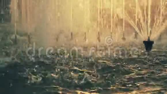 日落时分城市的喷泉视频的预览图