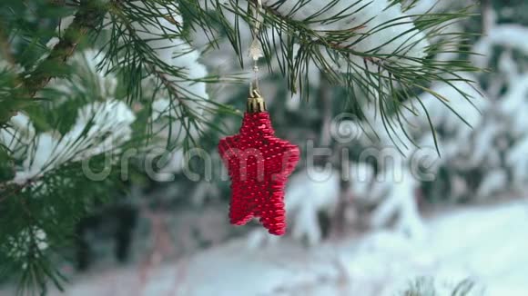 红色圣诞星上雪覆松枝慢动作视频的预览图