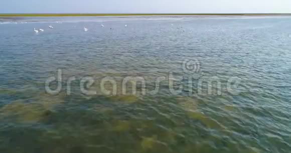 多瑙河三角洲的空中景观视频的预览图