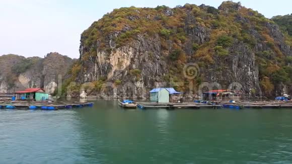 海龙湾漂浮渔村越南猫巴岛视频的预览图