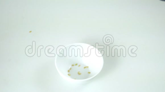 一碗米饭视频的预览图
