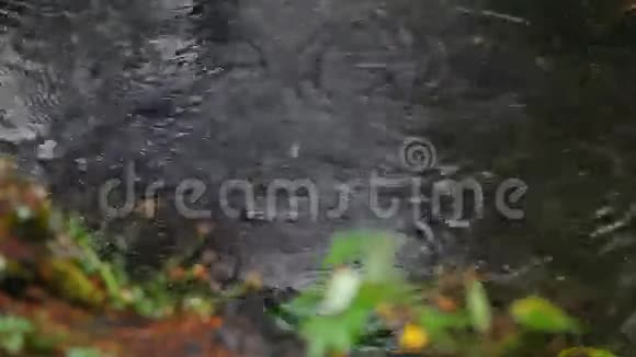雨水滴在水上视频的预览图