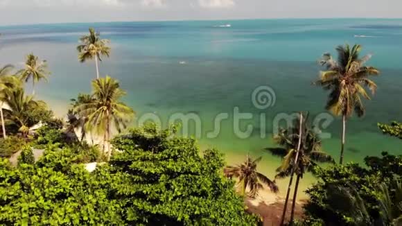 在蓝海附近的海滩上在度假胜地干净的蓝海的沙质海岸上生长的热带椰子棕榈的无人视野视频的预览图