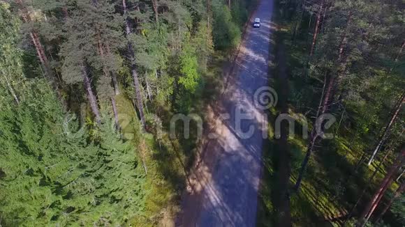 救护车沿着森林道路行驶视频的预览图