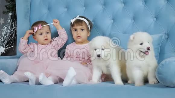 一对双胞胎孩子穿着粉红色的连衣裙头戴蝴蝶结坐在沙发上旁边是白色的毛茸茸的小狗视频的预览图