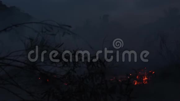 野火趁夜间干旱特写农业焚烧农田的烟雾和空气污染视频的预览图