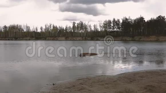海滩上有森林和岩石的湖视频的预览图