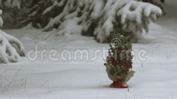 降雪下的小圣诞树视频的预览图