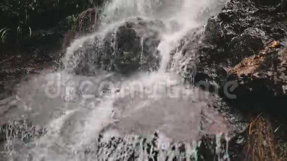 雨林中的山级联野瀑布视频的预览图
