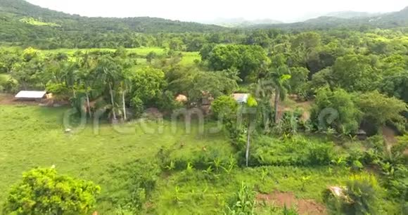 鸟瞰异国棕榈树森林的天堂之地中间有一个小村庄4k视频的预览图