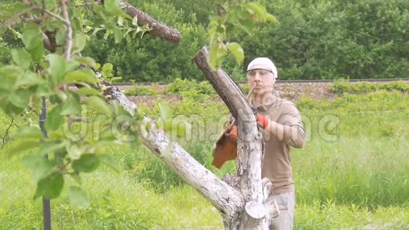 一个人在他家附近砍了一棵链锯树背景中的绿树移除干燥的树枝慢动作视频的预览图