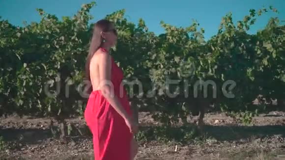 一个穿着红色连衣裙的怀孕女孩正穿过葡萄园戴眼镜的长发孕妇视频的预览图