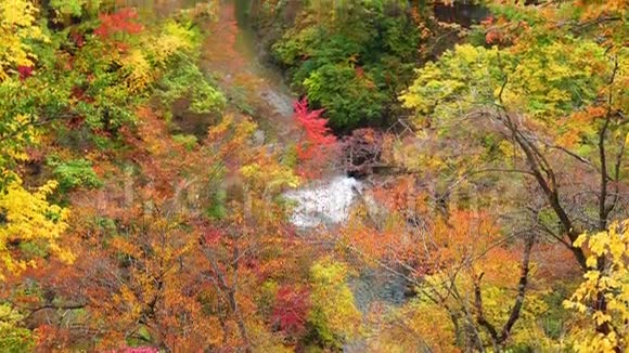 纳鲁科峡谷的秋景视频的预览图