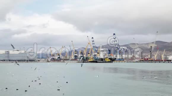 货运海港黑海俄罗斯新罗西斯克视频的预览图