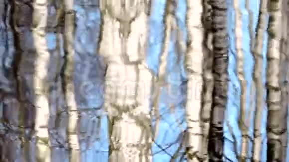 小溪小溪河流水的图案桦树在水中的倒影视频的预览图